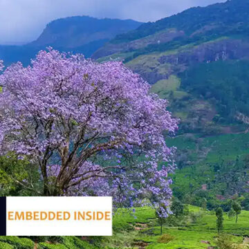 കേരളത്തിൽ വിദേശ നിക്ഷേപവും ടൂറിസവും കേരളത്തിൽ വിദേശ നിക്ഷേപവും ടൂറിസവും