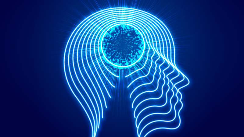 The brain and the AI spiral The brain and the AI spiral